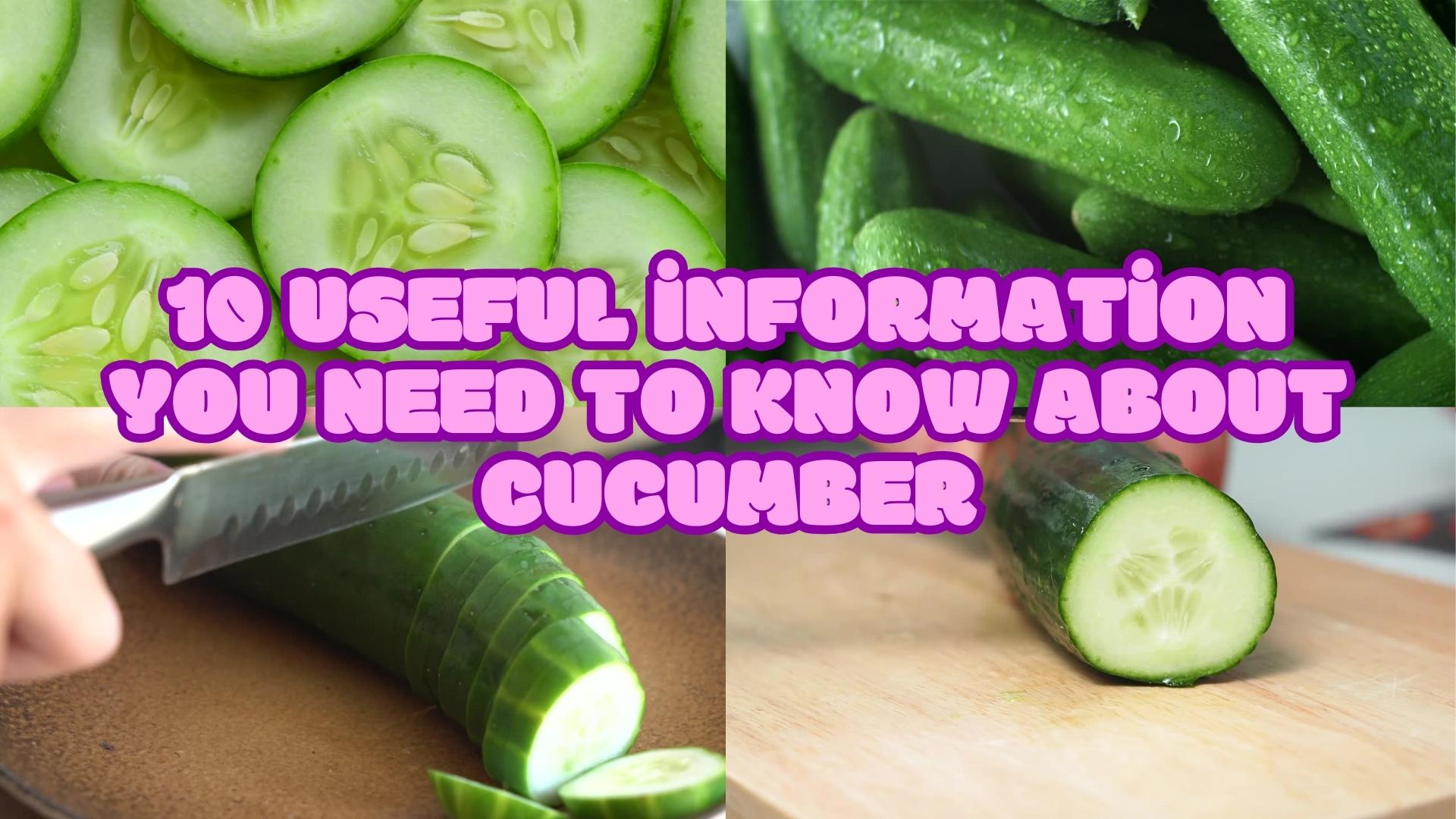 10 useful information you need to know about cucumber 001