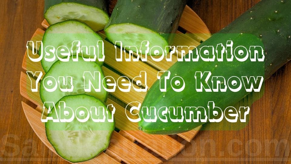 Useful Information You Need To Know About Cucumber #cucumber #saladspiration #saladinspiration