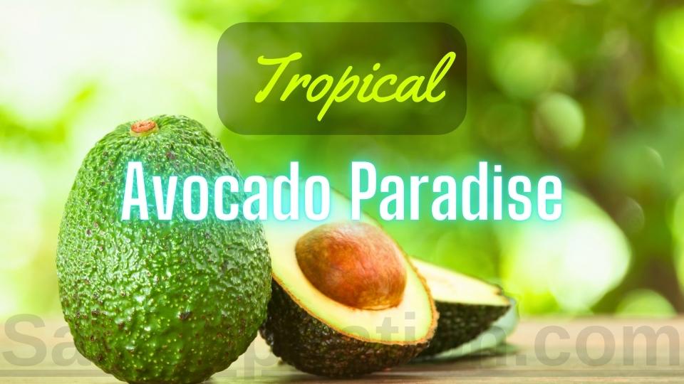 Tropical Avocado Paradise #tropicalavocadoparadise #saladspiration #saladinspiration