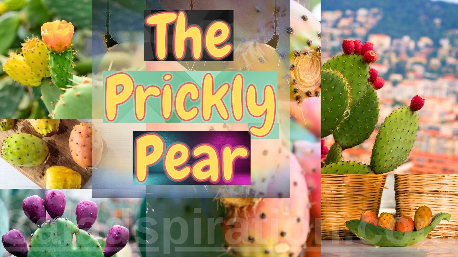 The Prickly Pear: More Than Just a Desert Icon #thepricklypear #saladspiration #saladinspiration