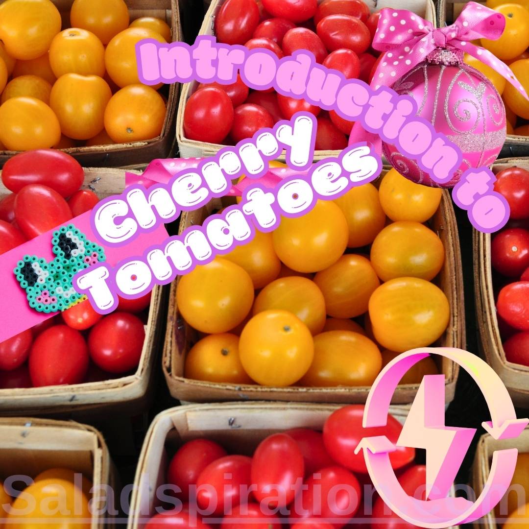 Introduction to Cherry Tomatoes #introductiontocherrytomatoes #cherrytomatoes #saladspiration